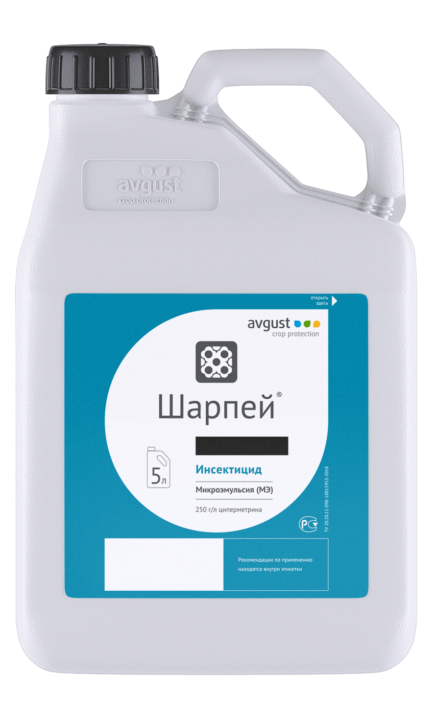 НордСтрим