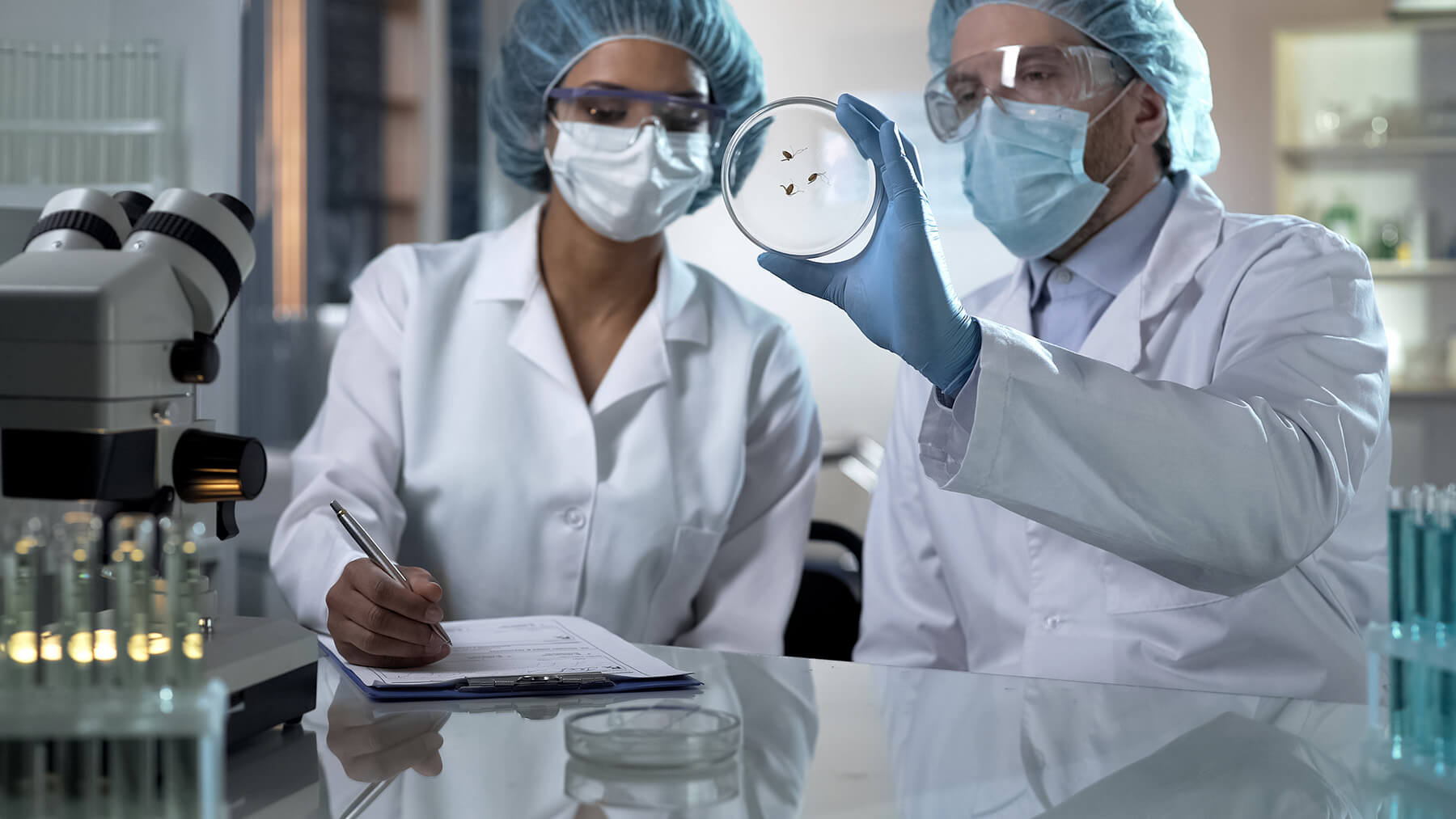"Avqust" innovativ insektisidlərin hazırlanması üçün yeni laboratoriya yaradıb
