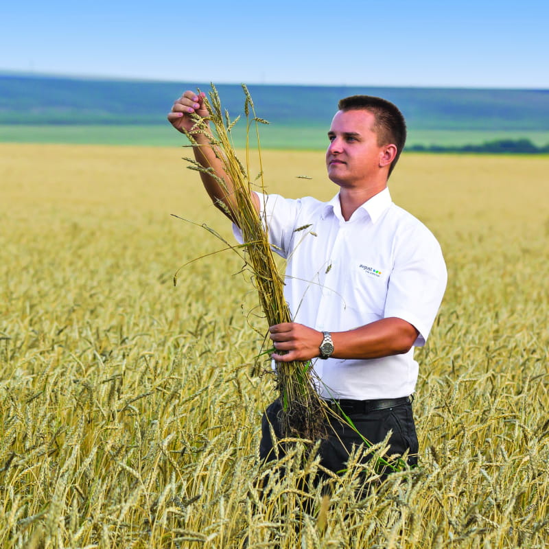 Производство
